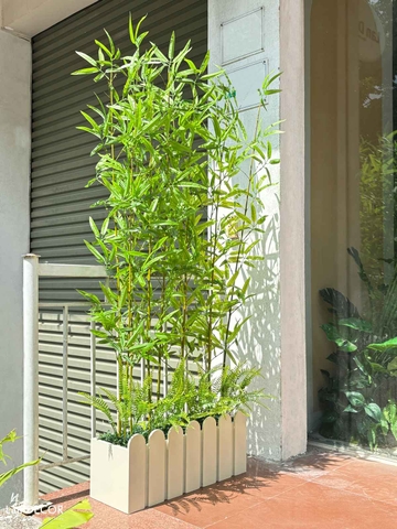 Trúc Quân Tử Giả- Bồn Trúc Giả Trang Trí Tiểu Cảnh Cửa Hiệu (60X20X155cm)- BC216