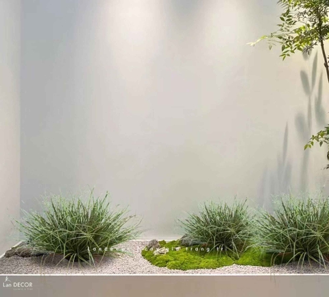 Bụi Cây Tiểu Cảnh- Bụi Cỏ Hành Giả Trang Trí Không Gian Xanh (30x50CM)- CC1074