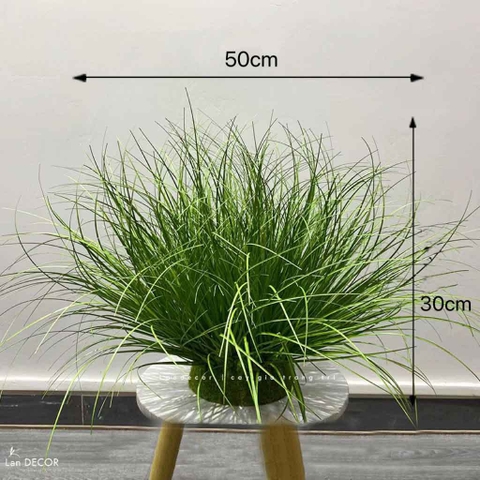 Bụi Cây Tiểu Cảnh- Bụi Cỏ Hành Giả Trang Trí Không Gian Xanh (30x50CM)- CC1074