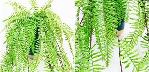 Chậu dương xỉ rủ trang trí nội thất độc đáo Lan Decor - CC527