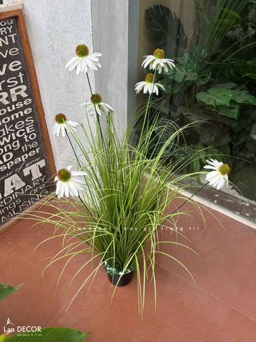 Hoa Giả Decor- Chậu Hoa Cúc Mỹ Giả Decor Tiểu Cảnh Quán Cafe (cao 75-100cm, tán 55cm)- CC1113
