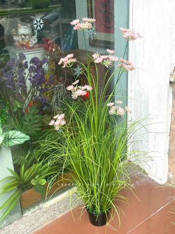 Hoa Hồi Hương Giả-Chậu Hoa Hồi Hương Trang Trí Căn Hộ Đẹp Tự Nhiên  (cao 100cm, tán 55cm)- CC1096