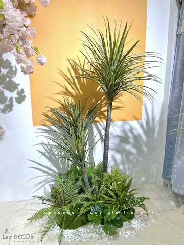 BỒN CÂY PHÁT TÀI NÚI TRANG TRÍ ĐƠN GIẢN, HIỆN ĐẠI- RC014