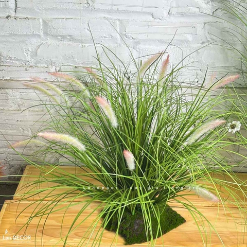 Bụi Cỏ Lau Giả Decor- Cỏ Lau Giả Thiết Kế Tiểu Cảnh Đẹp Tự Nhiên (cao 60cm, tán 80cm) - CC1120
