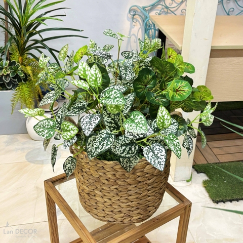 Giỏ Cây Giả - Giỏ Lá Đốm Trắng Trang Trí Tạo Điểm Nhấn Xanh (50cm)- CC1345