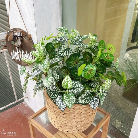 Giỏ Cây Giả - Giỏ Lá Đốm Trắng Trang Trí Tạo Điểm Nhấn Xanh (50cm)- CC1345