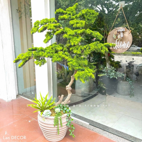Cây Bonsai Giả- Cây Tùng Giả Dáng Bonsai Thiết Kế Lan Decor (150cm)- CC1377
