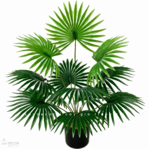Cành Lá Giả- Cành Cọ Giả Trang Trí Tiểu Cảnh Nhà Cửa, Quán Cafe Độc Đáo (12 lá, 80cm)- HC1346-12 lá
