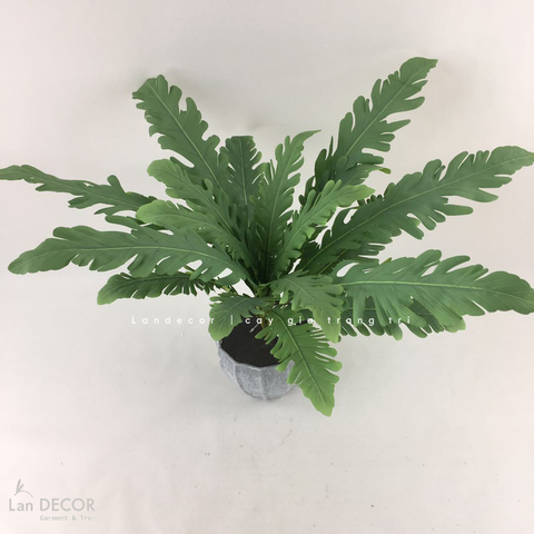Cành dương xỉ tổ yến trang trí LanDecor (50cm) - HC1118