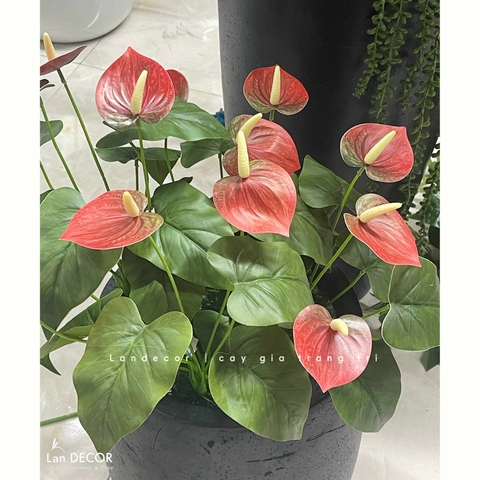 Cành Lá Giả Trang Trí- Cành Hồng Môn Giả Trang Trí Tiểu Cảnh (35cm)- HC1428