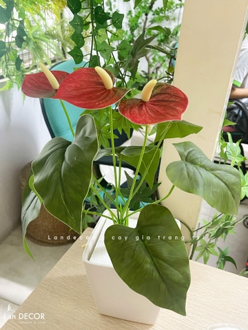 Cành Lá Giả Trang Trí- Cành Hồng Môn Giả Trang Trí Tiểu Cảnh (35cm)- HC1428