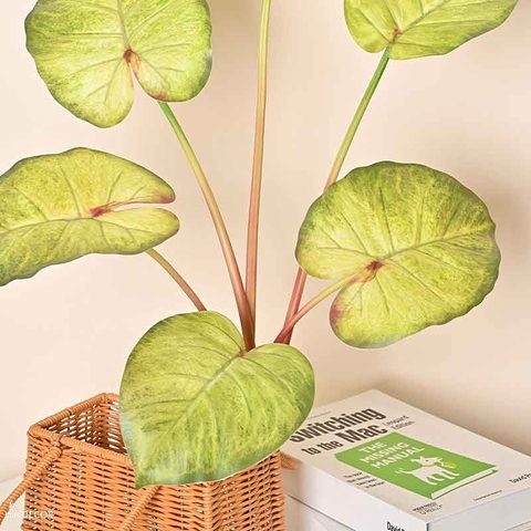Cành Lá Giả - Cành Lá Môn To Giả Decor Tự Nhiên, Đẹp Mắt (70cm)- HC1314