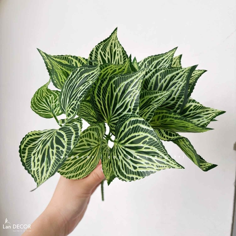 Cành Lá Giả Decor- Cành Lá Sọc Dưa Nhỏ Giả Trang Trí Bồn Tiểu Cảnh (5 nhánh, 34cm)- HC1352
