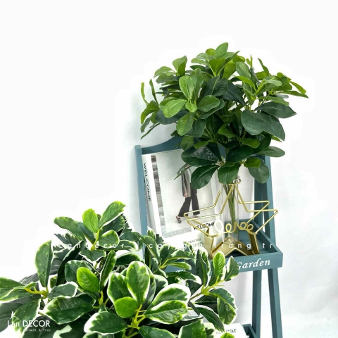 Cành Lá Gỉa Decor - Cành Ngũ Da Bì 7 Nhánh Trang Trí (40cm)- HC1377