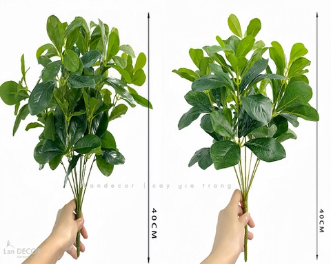 Cành Lá Gỉa Decor - Cành Ngũ Da Bì 7 Nhánh Trang Trí (40cm)- HC1377