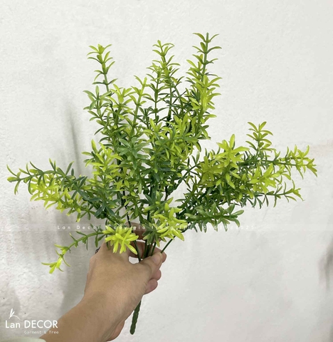 CÀNH LÁ RONG TRANG TRÍ  - HC1159