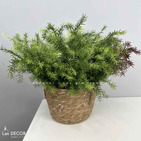 Cành Lá Giả Decor- Cành Rong Măng Xanh Giả Trang Trí (65cm)- HC1291