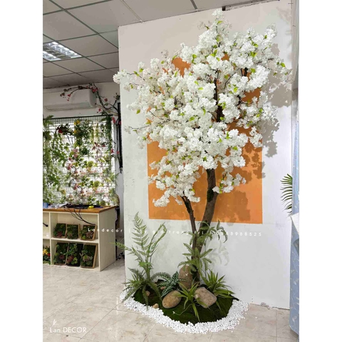 Bồn Hoa Anh Đào Thiết Kế Tiểu Cảnh (110x60x270cm)- RC055