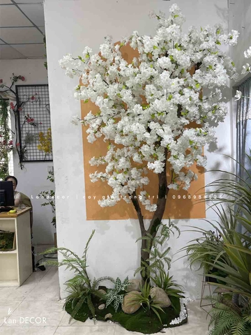 Bồn Hoa Anh Đào Thiết Kế Tiểu Cảnh (110x60x270cm)- RC055