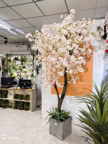 Cây Hoa Anh Đào Nhật Bản Trang Trí Cửa Hàng (265cm)- CC999