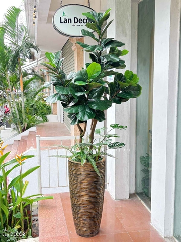 Cây Bàng Giả Decor- Cây Bàng Giả Thiết Kế Lan Decor, Trang Trí Không Gian Xanh Hiện Đại (170cm)- CC1147