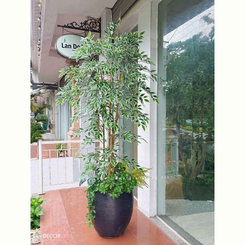 Cây Giả Trang Trí- Cây Cẩm Thạch Giả Decor Không Gian Độc Đáo (180cm)- LC3961
