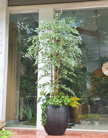 Cây Giả Trang Trí- Cây Cẩm Thạch Giả Decor Không Gian Độc Đáo (180cm)- LC3961