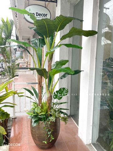 Cây Chuối Giả Decor Phong Cách Sân Vườn (2m)- LC2648-1-MIX
