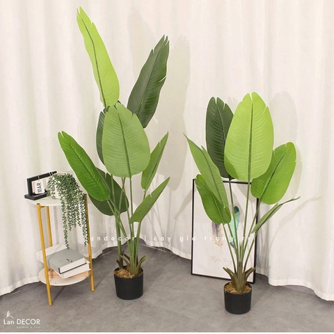 Cây Giả- Cây Chuối Giả Trang Trí Nhà Cửa Xanh Mát (160cm)- LC3522