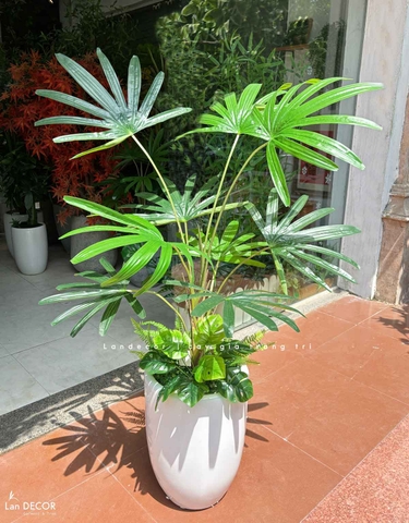 CHẬU CÂY CỌ RỪNG TRANG TRÍ TIỂU CẢNH LANDECOR (100CM) - LC3194 MIX