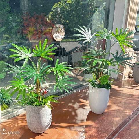 CHẬU CÂY CỌ RỪNG TRANG TRÍ TIỂU CẢNH LANDECOR (100CM) - LC3194 MIX