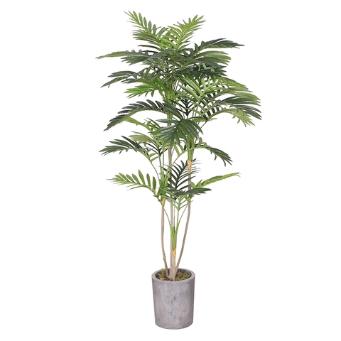 cây dừa giả