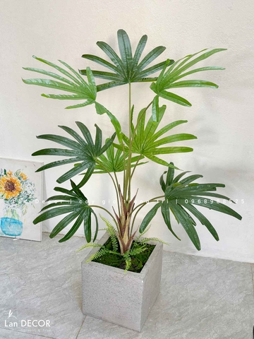 CHẬU CÂY CỌ RỪNG TRANG TRÍ TIỂU CẢNH LANDECOR (100CM) - LC3194 MIX