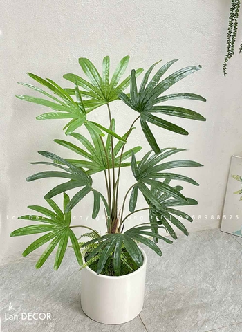 CHẬU CÂY CỌ RỪNG TRANG TRÍ TIỂU CẢNH LANDECOR (100CM) - LC3194 MIX