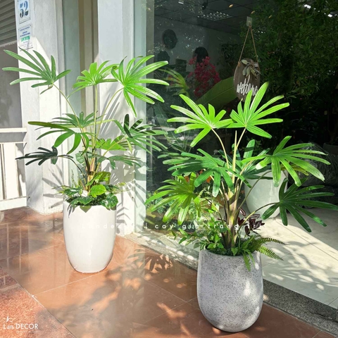 CHẬU CÂY CỌ RỪNG TRANG TRÍ TIỂU CẢNH LANDECOR (100CM) - LC3194 MIX