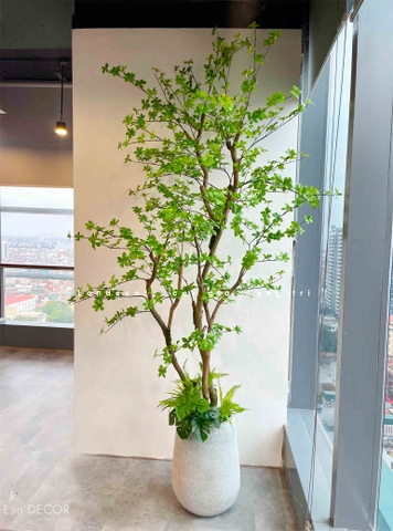 Cành Lá Giả Decor, Cành Thạch Nam Nhật Bản Trang Trí Nhà Đẹp - HC996