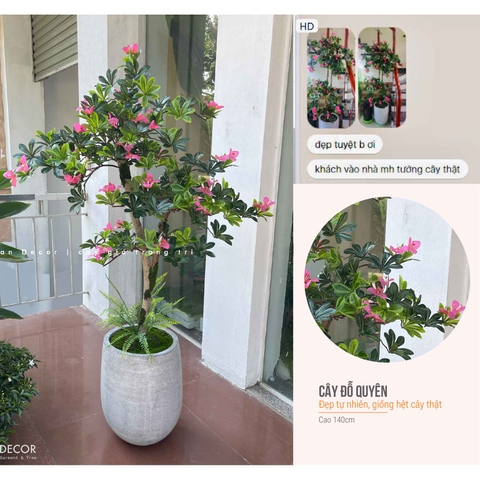Cây Đỗ Quyên Thiết Kế Lan Decor (130cm)- CC959
