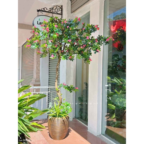 Cây Hoa Thiết Kế- Cây Đỗ Quyên Giả Thiết Kế Tiểu Cảnh Căn Hộ Đẹp Tự Nhiên (2m)- CC1174