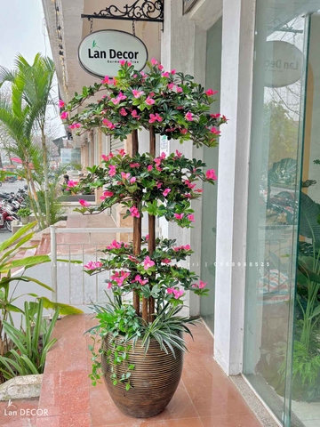 Cây Hoa Đỗ Quyên Thiết Kế Không Gian Đẹp (180cm)- CC996