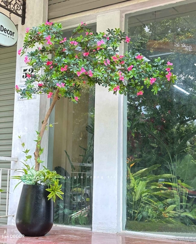 Cây Giả Tiểu Cảnh - Cây Đỗ Quyên Dáng Huyền Trưng Bày Cửa Hiệu, Quán Cafe Độc Đáo (220cm)- CC1135