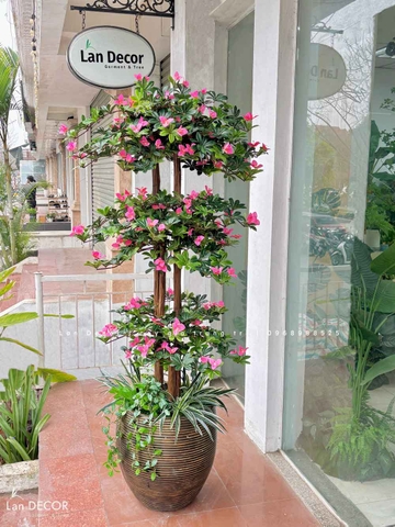 Cây Hoa Đỗ Quyên Thiết Kế Không Gian Đẹp (180cm)- CC996
