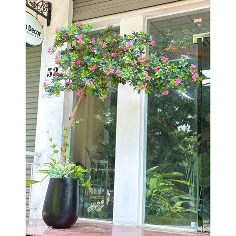 Cây Giả Tiểu Cảnh - Cây Đỗ Quyên Dáng Huyền Trưng Bày Cửa Hiệu, Quán Cafe Độc Đáo (220cm)- CC1135