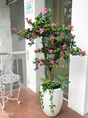Cây Đỗ Quyên Thiết Kế Lan Decor (130cm)- CC959