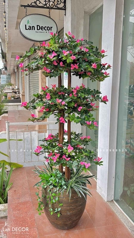 Cây Hoa Đỗ Quyên Thiết Kế Không Gian Đẹp (180cm)- CC996