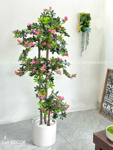 Cây Đỗ Quyên Trang Trí Nội Thất (160cm)- CC986