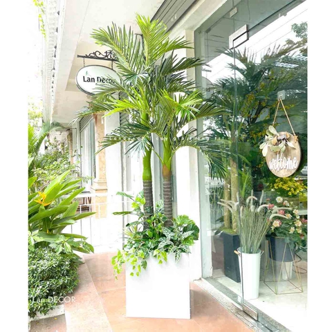 BỒN CÂY DỪA TRANG TRÍ ĐẠI SẢNH - CC770
