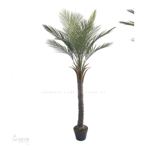 Dừa Cảnh Giả - Cây Dừa Nam Phi Giả Decor Cửa Hiệu, Điểm Nhấn Không Gian Xanh (150cm)- LC3567-150cm