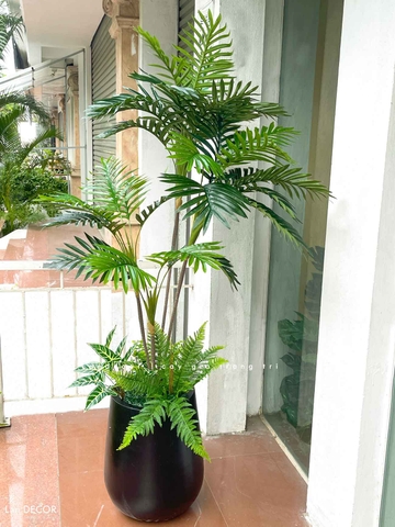 Cây Giả Trang Trí Văn Phòng- Cây Dừa Cảnh Giả Decor Nội Thất Tươi Mới (180cm)- CC1140