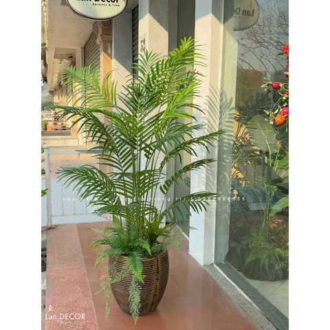 Cây Dừa Cảnh Trang Trí Không Gian (160cm)- LC3038MIX-1