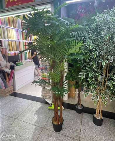 Dừa Cảnh Giả - Cây Dừa Giả Trang Trí Văn Phòng Tạo Điểm Nhấn Tinh Tế (180cm)- LC2962